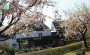 Landhotel Westerwald Restaurant-Caf� Tagung in Ehlscheid