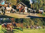 Highlander-Ranch Reiterhof in Spiegelau
