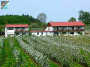 Erlenhof in Immenstaad am Bodensee