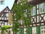 Hotel Restaurant Salischer Hof in Schifferstadt